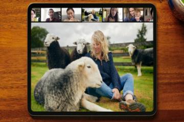 Guided Meditation with Sleepy Sheep