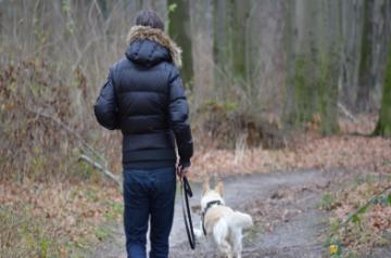 Returning to normalcy with your pet post-lockdown