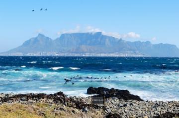 Your guide to a virtual South Africa tour