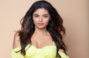 Priyanka Chopra's cousin Meera's father robbed at knifepoint