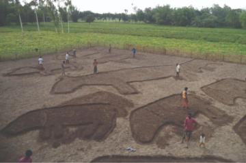 Bhumi project by DBF, Bangladesh