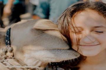 JLo's daughter pens children's book inspired by her 'own daily.