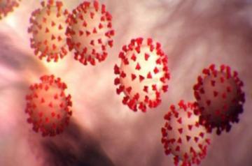 coronavirus.