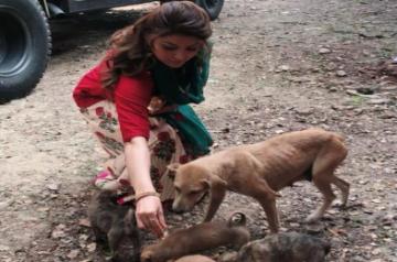 Mumbai, June 4 (IANS) Actress and former beauty queen Urvashi Rautela feels every life matters, and says that it takes nothing away from a human to be kind to an animal.