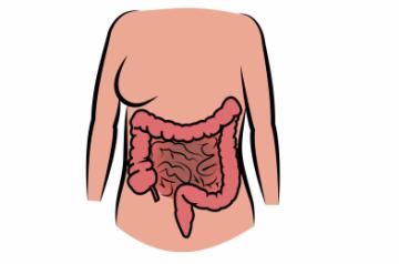 Researchers have found that Serotonin, a chemical known for encouraging happiness and well-being, can reduce the ability of some intestinal pathogens to cause deadly infections.
