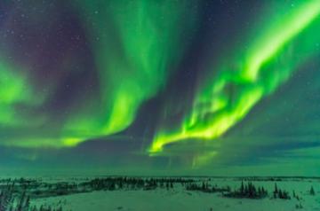 Northern Lights