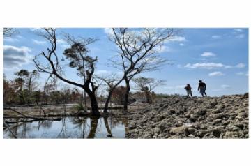 Villagers in Sundarbans affected by the cyclone Amphan