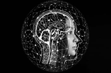 Everything you need to know about a brain stroke.