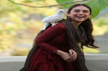 Mumbai, July 10 (IANS) Actress Aditi Rao Hydari has shared the only nation she plans on visiting in 2020 in a hilarious new social media post.