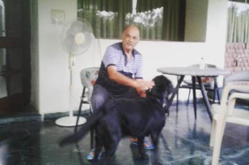 Sushant Singh Rajput's dog. (Photo: Simran Sethi/IANS)