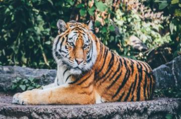 Representational Image (Credit: Unsplash)