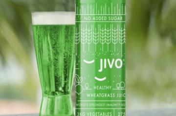Jivo
