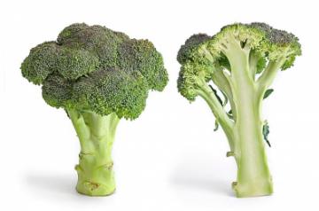 broccoli.