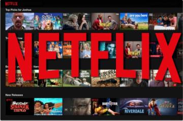Netflix. (IANS Infographics)