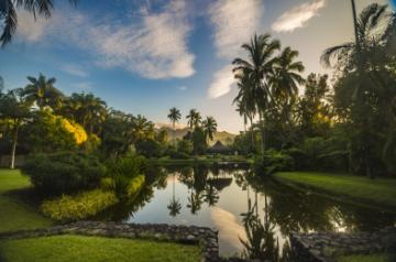 A glimpse of The Farm (Source: The Farm)