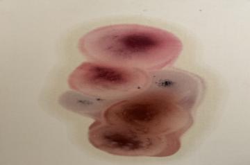 Source: Rahul Inamdar/Threshold Art Gallery