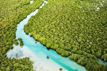 Kayaking at Purple Island