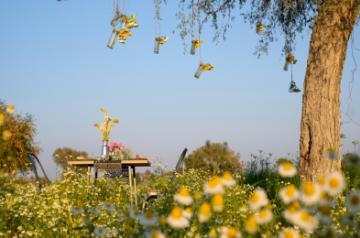 Private Dining - Chamomile