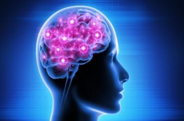 Brains with more vitamin D have better cognitive functions, finds study