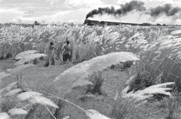 'Pather Panchali' named best Indian film of all time by FIPRESCI