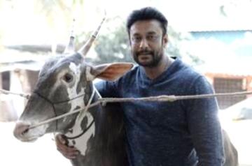 Kannada actor Darshan, wife booked for keeping rare birds in farmhouse.(photo:Twitter/Darshan Thoogudeepa)