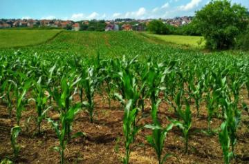 Green Skill Development Programme in India