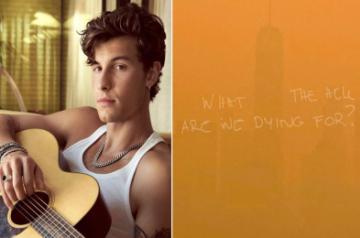 Shawn Mendes releases new song on climate change following Canadian wildfires