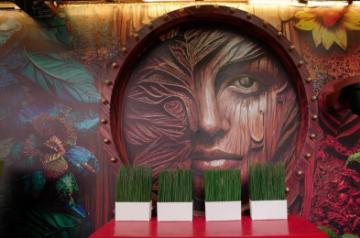 Bigg Boss OTT