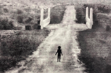 Art fairs and biennales