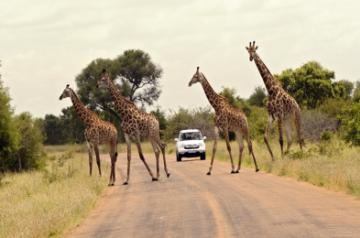 Kruger National Park